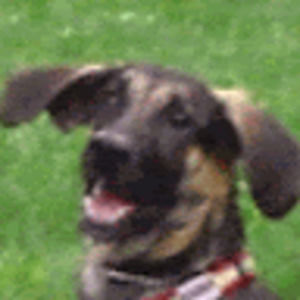 Meet your Posher, Lori